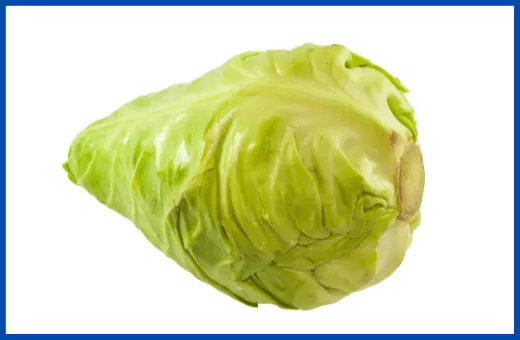 cabbage is one of the best replacements for korean radish.