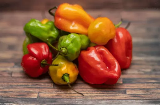 habanero pepper is the most commonly used substitute in case of lack in ají amarillo in peru and bolivia.