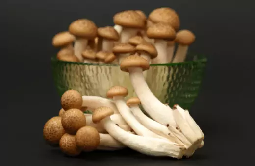 if you do not like shiitake mushrooms, you can substitute them with shimeji mushrooms. the image showing some of it.