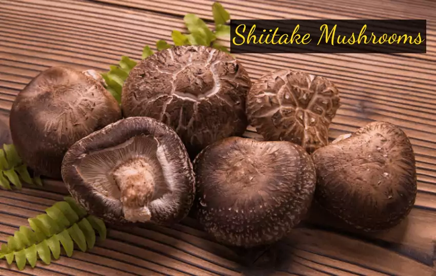 the image showing few shiitake mushrooms