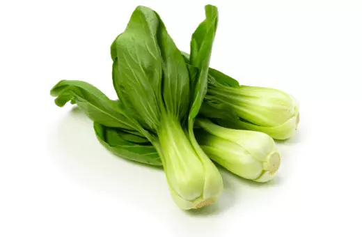 napa cabbage is a common ingredient in asian dishes. if you are looking for a substitute, bok choy is a good option. bok choy has a slightly different flavor than napa cabbage, which is less crunchy. 