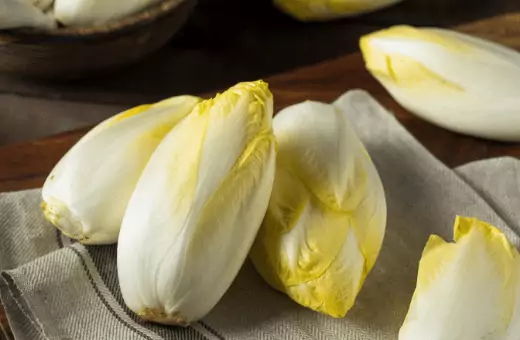 endive is a healthy vegetable that is also used as an alternative for arugula