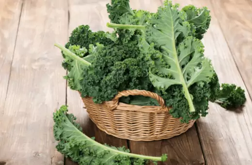 the image contains kale leaves in a bucket which is a popular substitute for arugula.