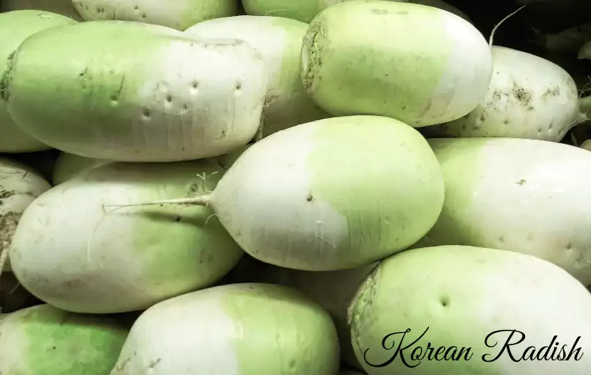 korean radish is a famous ingredient in korean dish