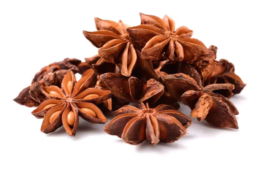 you can subustitute star anise with many foods.