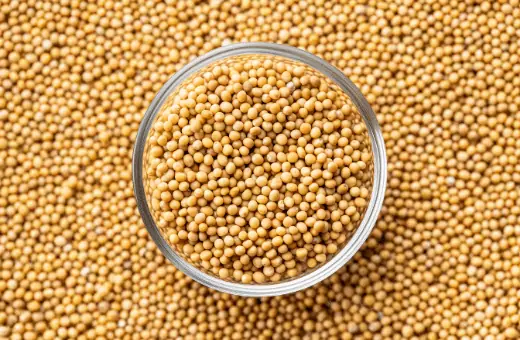 the yellow mustard seed can also be used as a substitute for fenugreek in some recipes.