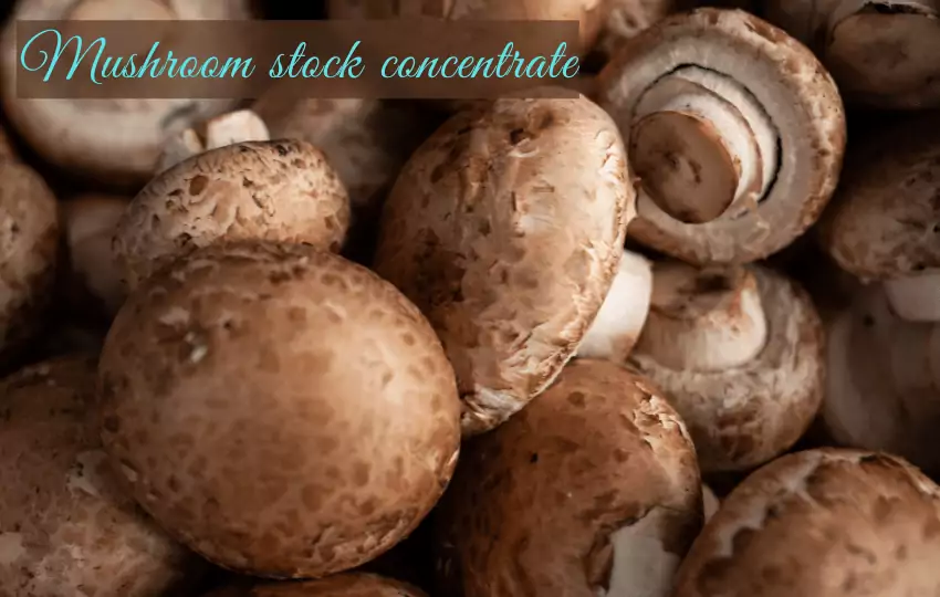 mushroom stock concentrate is an alternative to the mushroom powder that has been used for decades by all those hipsters and other people who like to eat healthily. 