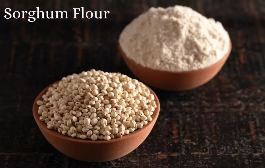 sorghum flour is made from the grain of a cereal plant known as sorghum. Sorghum is similar to millet flour and teff flour.