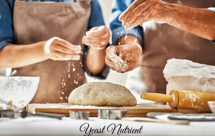 yeast nutrient is a essential and popular in kitchen