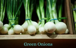 green onions are widely used in kitchen recipes