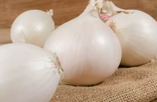 white onion is one of the best substitutes for green onions.