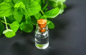 Peppermint extract is a flavoring agent made from the essential oil of peppermint leaves.