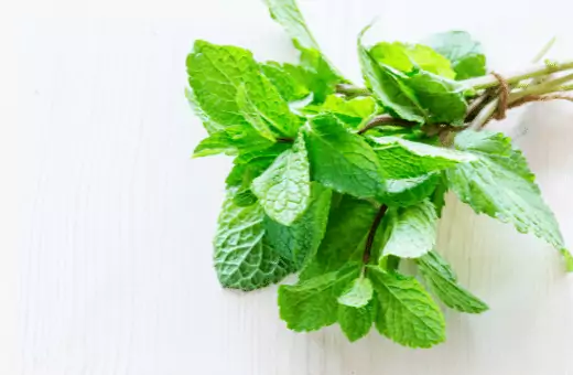 fresh mint substitute for peppermint extract