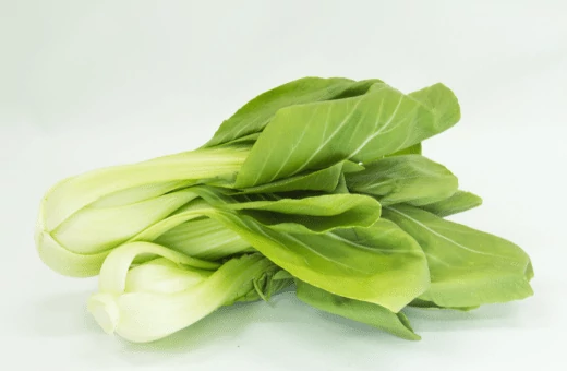 choy sum is a leaf vegetable commonly found in chinese cuisine and it is very popular as a substitute for cabbage