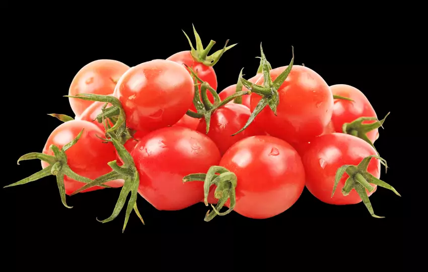 cherry tomatoes also known as sweet tomatoes are small and round with a deep red color