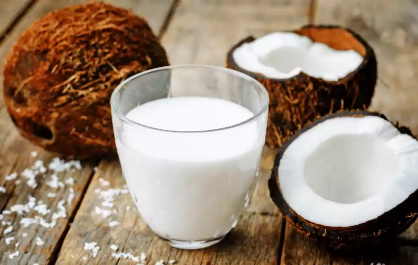 coconut milk is sweet versatile, creamy milk obtains from coconut flesh