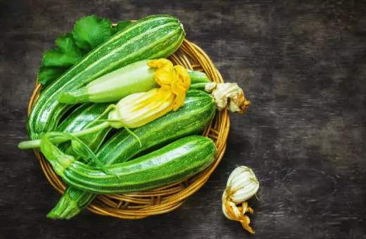 you can use zucchini as a substitute  for chayote in a recipe