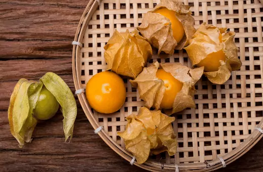cape gooseberry is one of the best substitutes for tomatillo