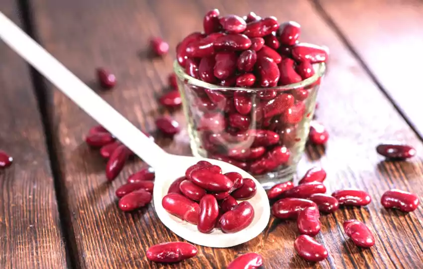 kidney beans are versatile from health benefits to the cooking process
