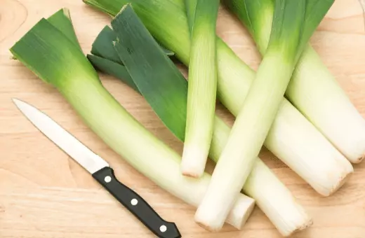 you can use leek as an excellent substitute for spring onion
