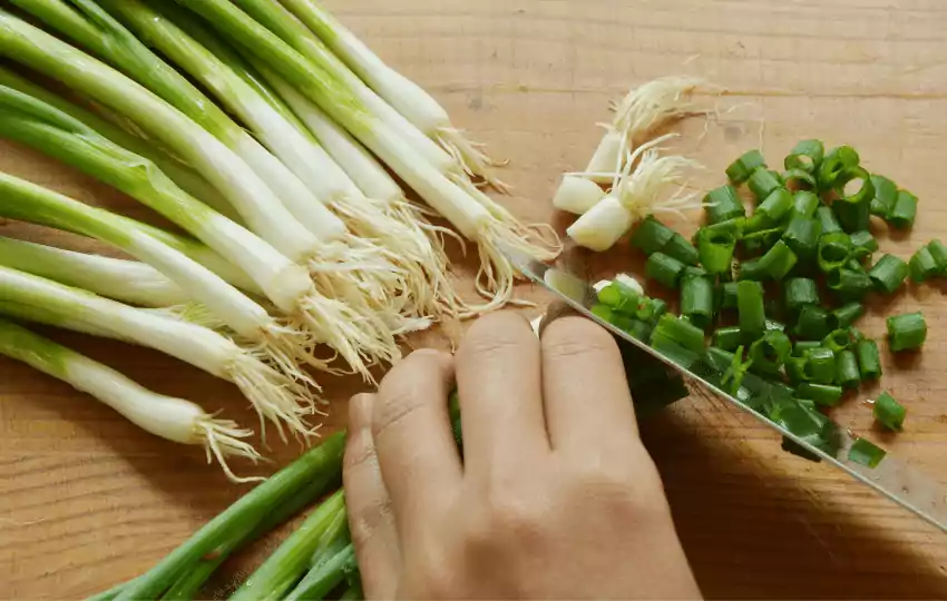 spring onions are very much preferable for their mild taste with sweet tone and smell which make the soup more delicious