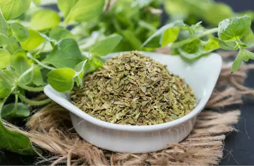 mexican oregano can be utilized as a replacement for epazote