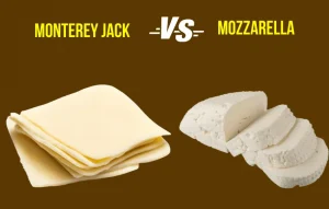 Compare Monterey jack and Mozzarella from different prosperpective