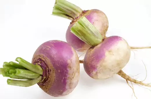 turnip has a similar taste and texture to swede making it a great substitute in any recipe