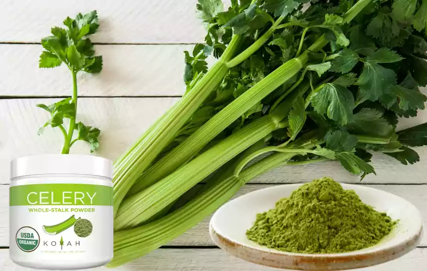 celery powder can be used to add flavor to soups stews marinades and sauces