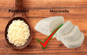 parmesan and mozzarella these two kinds of cheese widely consumed and used in endless recipes