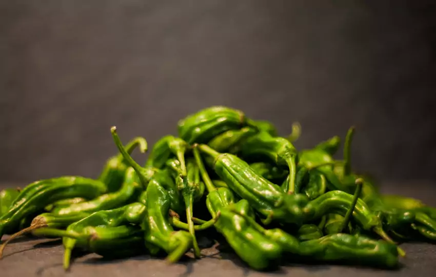 shishito peppers are small delicious pepper that is popular in japanese cuisine