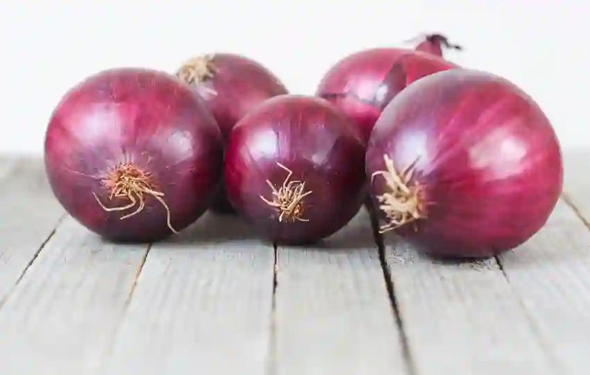 spanish onion is a versatile ingredient that can be used in many dishes