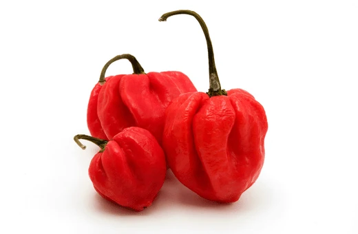pimento peppers is a good banana pepper alternative