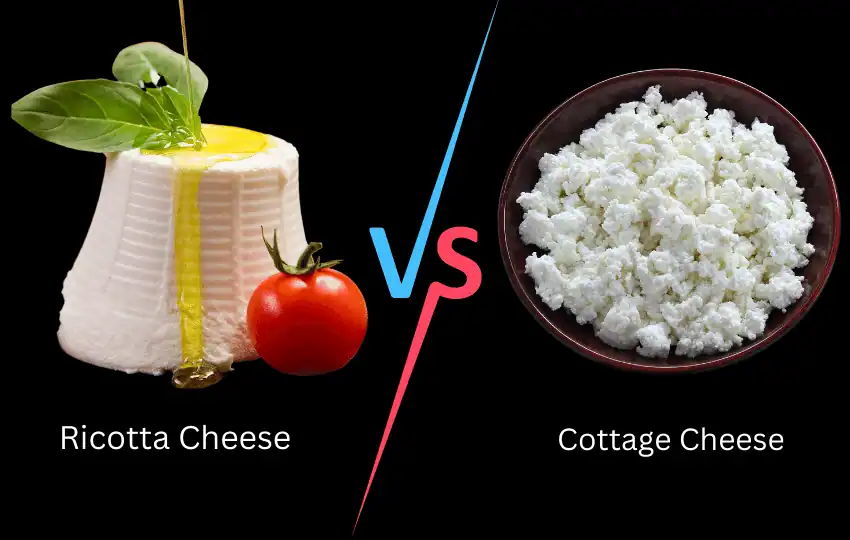 ricotta cheese vs cottage cheese