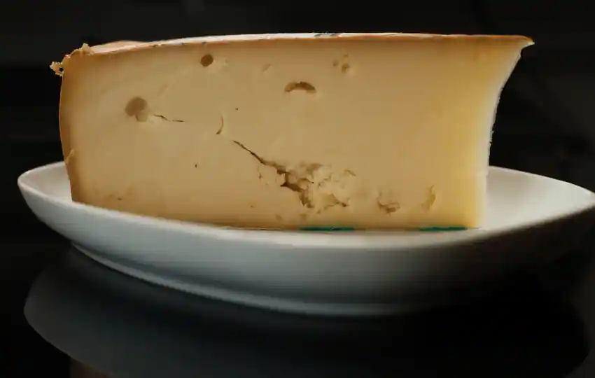 fontina is an unpasteurized cow's milk cheese