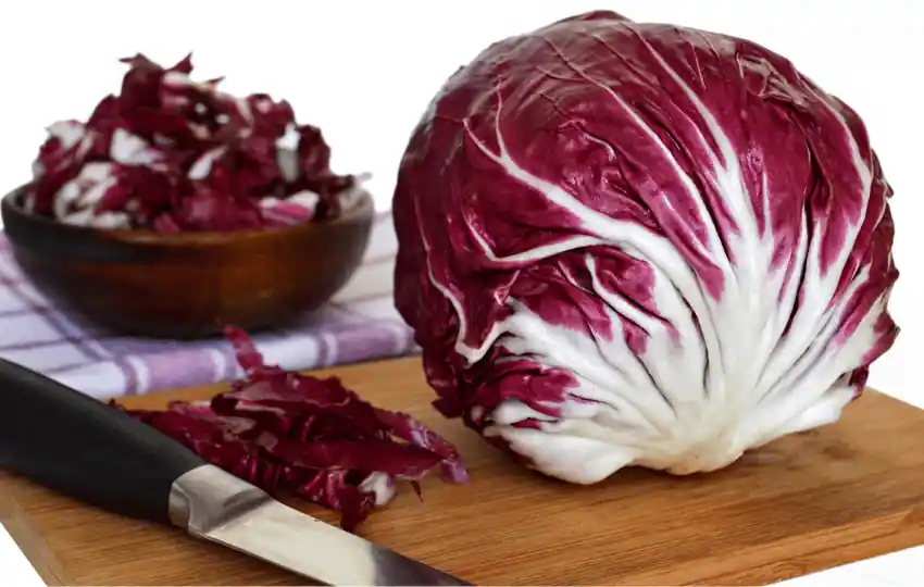 radicchio is a leafy vegetable that is often used as a salad green or as a decoration on a dish