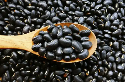 If you want to enjoy the taste of fava beans but are looking for a healthier option, then black beans are a great choice. 