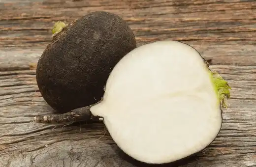 You can substitute black radish for rutabaga in many recipes