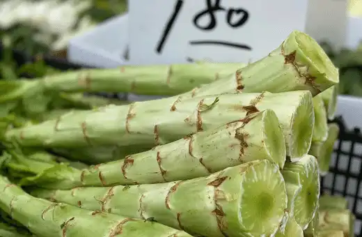 Celtuce is a versatile vegetable that can be used in many dishes in place of asparagus.
