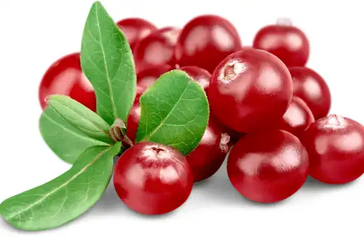 Cranberries juice is similar to Pomegranate in that it can be used as a substitute for pomegranate, but not exactly. 