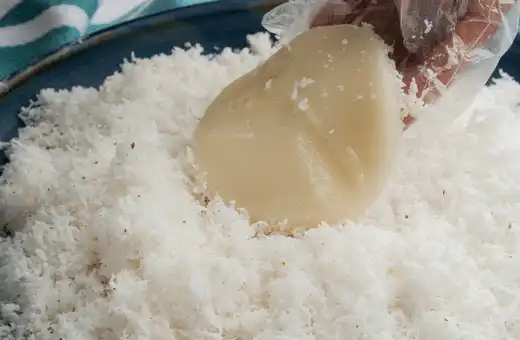 Fresh Grated Coconut is what you get from the coconut when freshly grated off the husk or shell, with no drying. 
