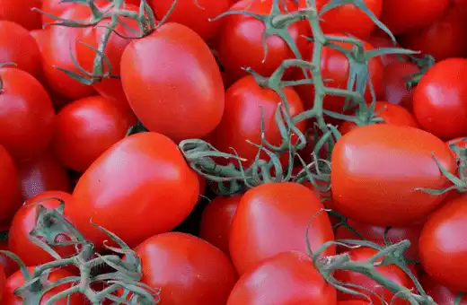Substitute PLUM TOMATOES For Cherry Tomatoes