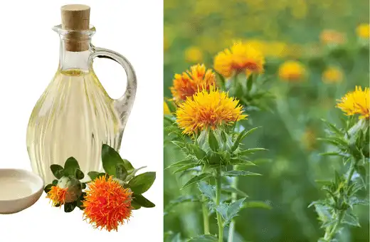 Safflower oil is a good substitute for corn oil in baking.