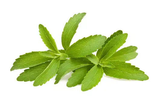 Stevia is a sugar substitute that has the amazing ability to sweeten without spiking blood sugars like other natural or artificial sweeteners. 