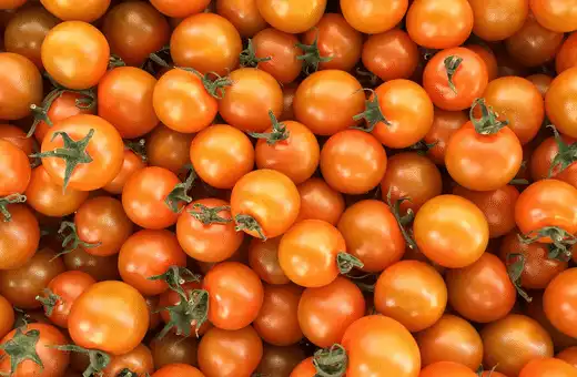 If you can't find grapes tomatoes, then another good option is to use Sun Gold tomatoes.