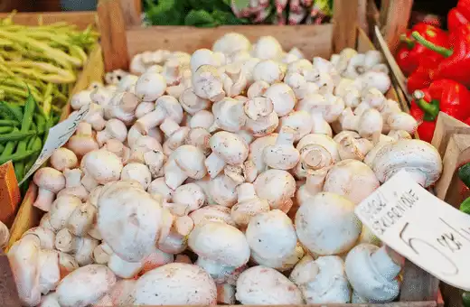 The White Button Mushroom is a popular choice for making a mushroom dish. It has the same flavor and texture as Shiitake but at a much lower price!