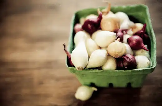 Pearl onions are a great substitute for Spanish onions
