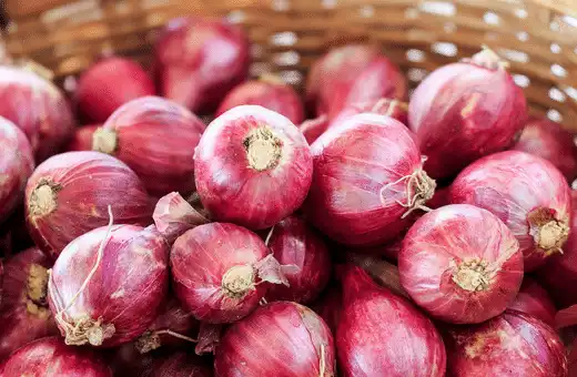 Shallots are a great substitute for Spanish onions