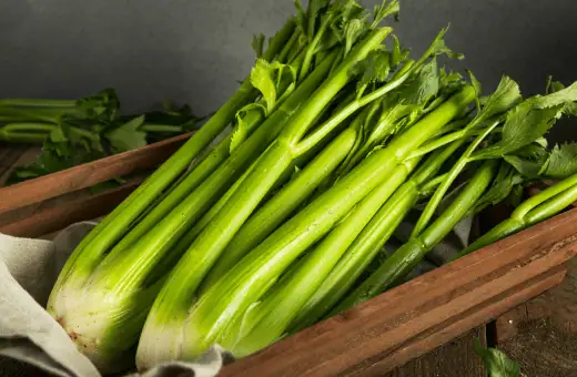use celery as leek alternative