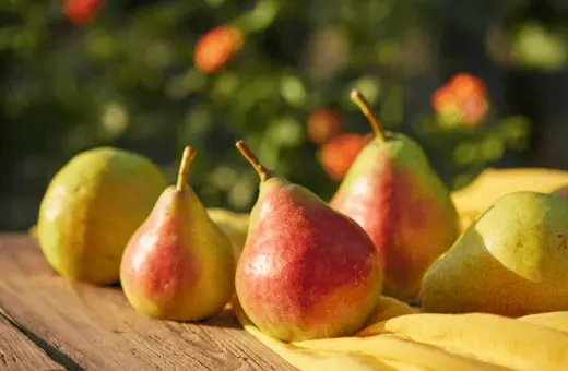 for a sweeter alternative to bosc pear consider using the comice pear